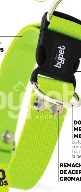 Collar regulable de polipropileno verde